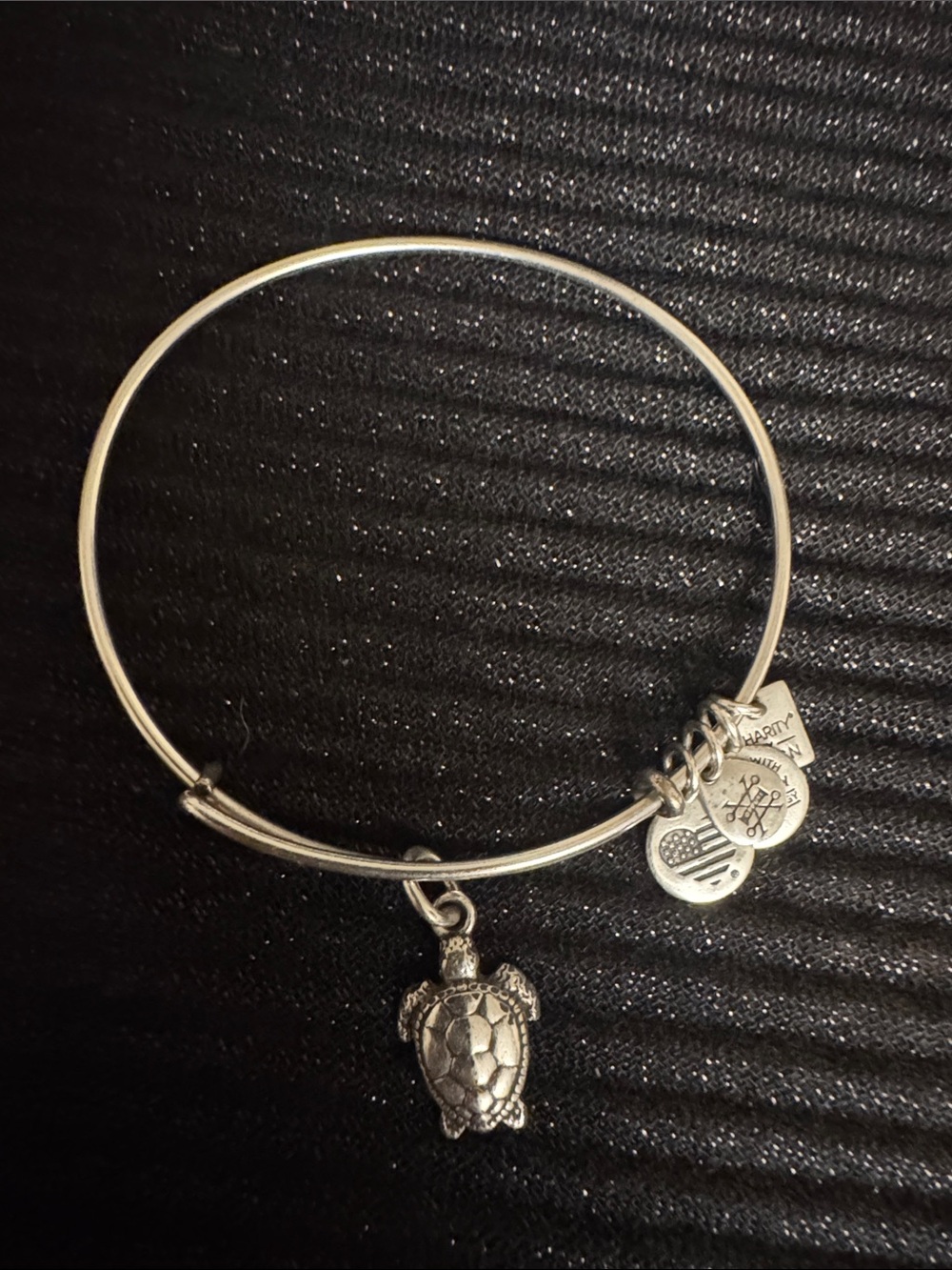 Silver Turtle Charm Bangle Bracelet